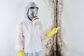 Mold Odor Removal Services